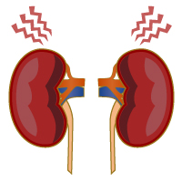 慢性腎臓病（CKD）