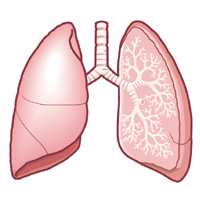 呼吸器の診療