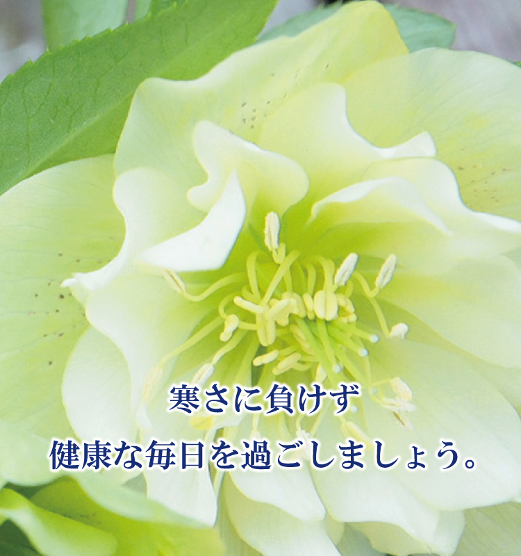 奈良市 内科 循環器内科 中井医院 奈良市 内科 循環器内科 中井医院