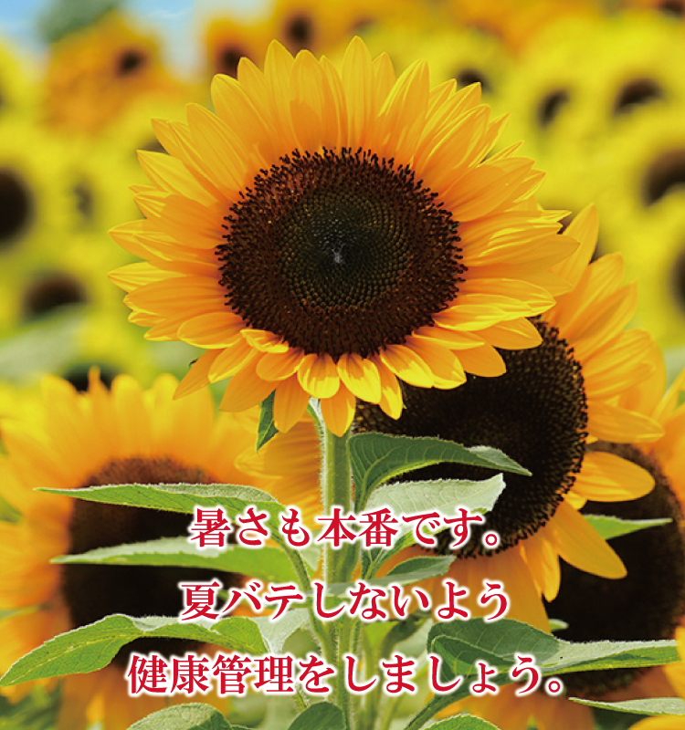 奈良市 内科 循環器内科 暑さも本番です。夏バテしないよう健康管理をしましょう。