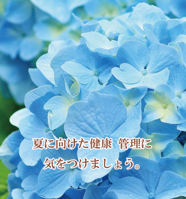 奈良市 内科 循環器内科 夏に向けた健康管理に気をつけましょう。