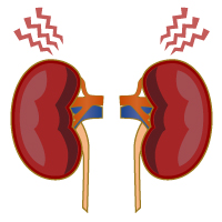 奈良市 内科 循環器内科 慢性腎臓病（CKD）の診療